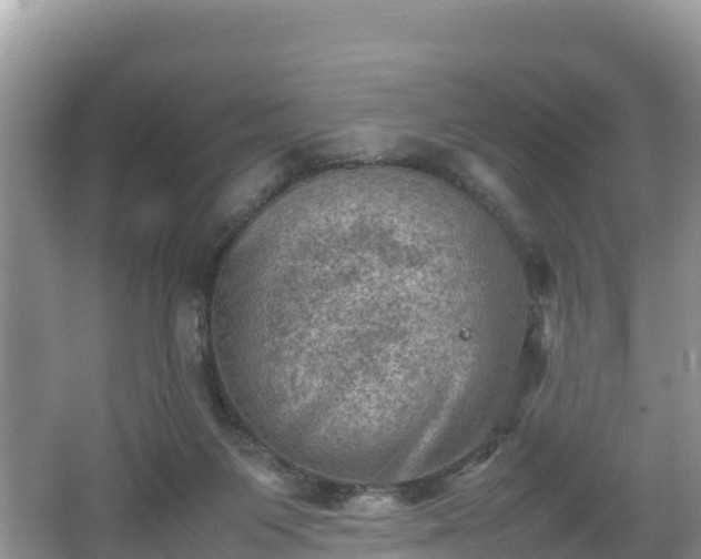 X0000062130119200512121225