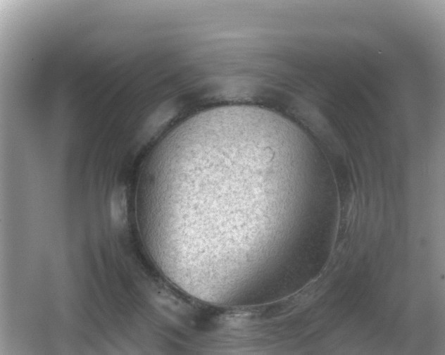 X0000062130120200512121225