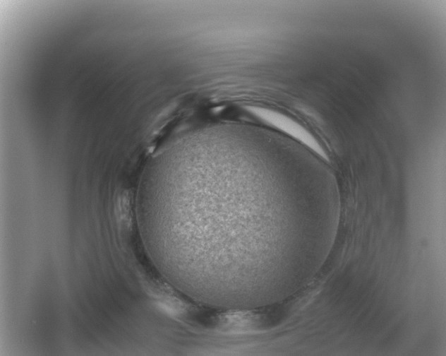 X0000062130121200512121225