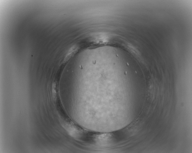 X0000062130122200512121225