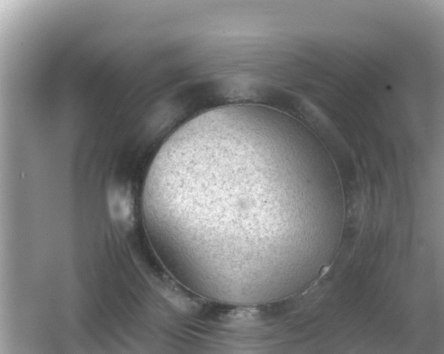 X0000062130124200512121225