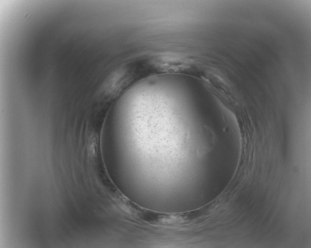 X0000062130125200512121225