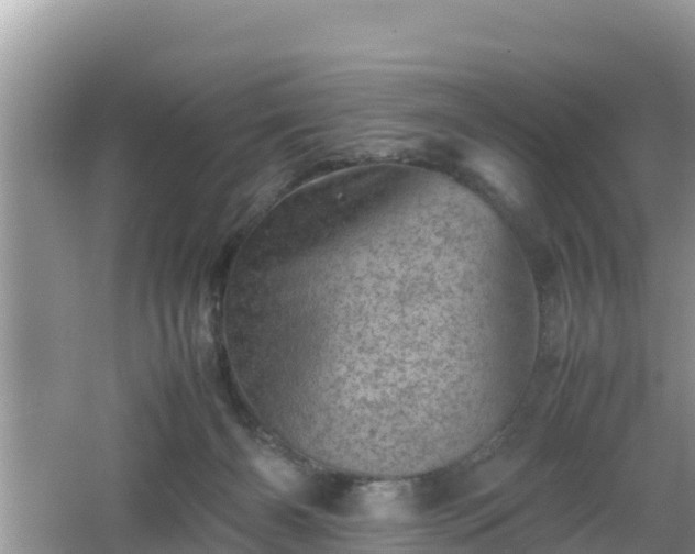 X0000062130126200512121225