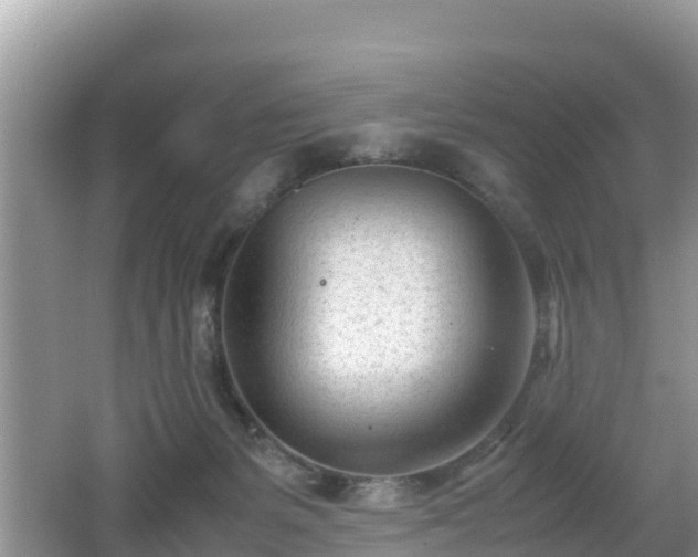 X0000062130127200512121225