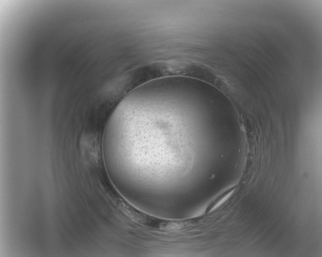 X0000062130129200512121225