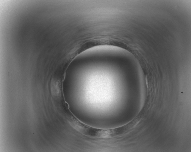 X0000062130131200512121225