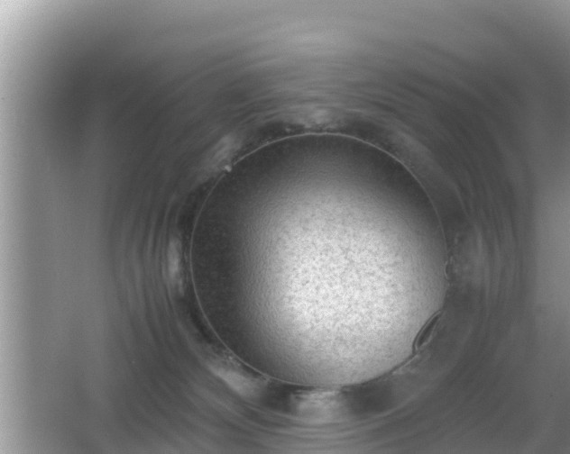 X0000062130132200512121225