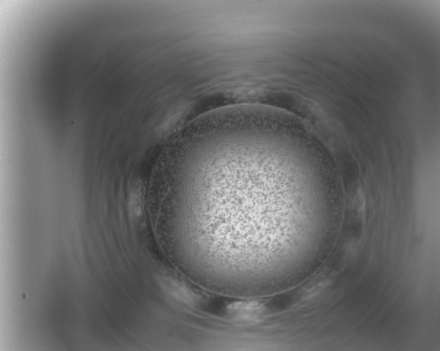 X0000062130133200512121225