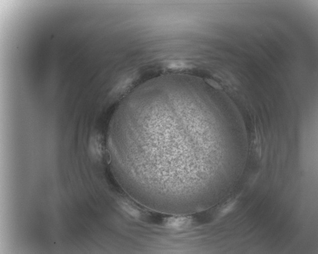 X0000062130135200512121225