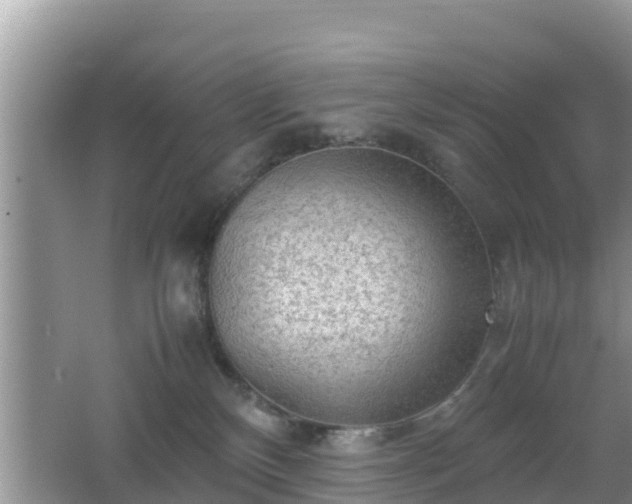 X0000062130136200512121225