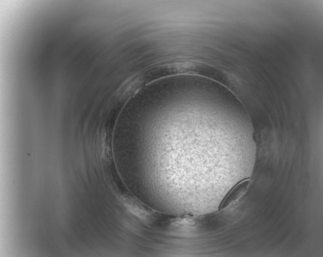 X0000062130140200512121225