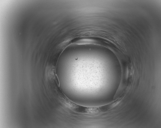 X0000062130141200512121225