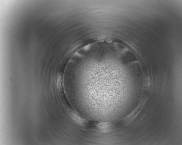 X0000062130142200512121225