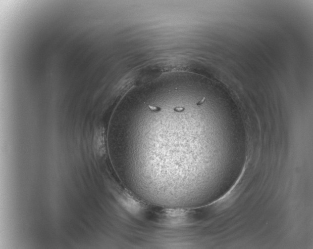 X0000062130144200512121225