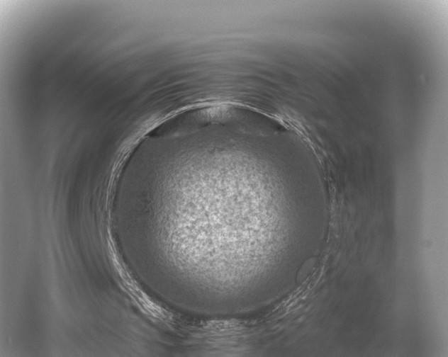 X0000062130145200512121224