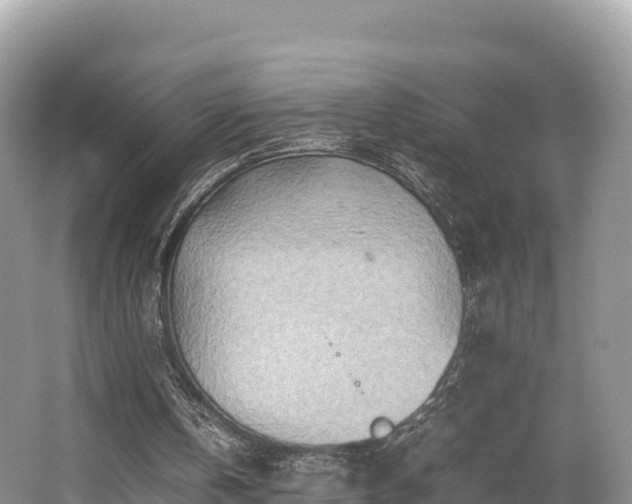 X0000062130146200512121224