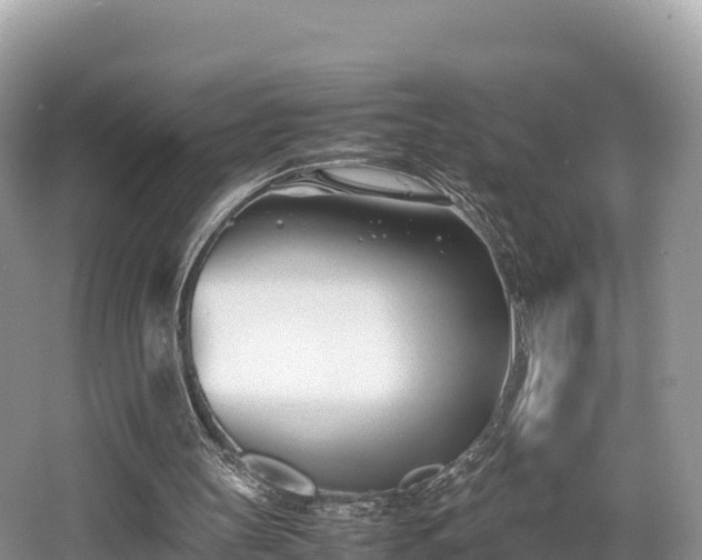 X0000062130147200512121224