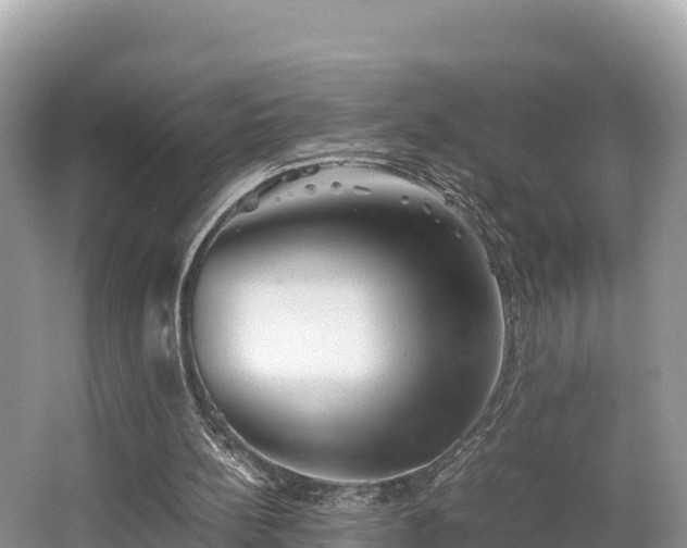 X0000062130148200512121224