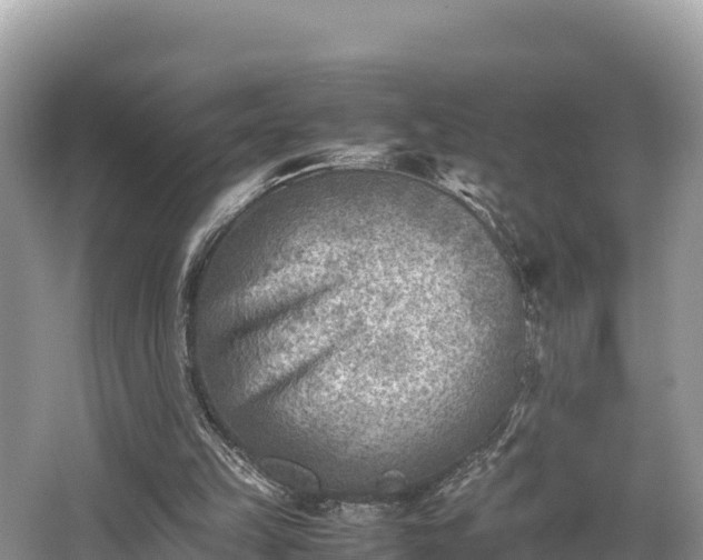 X0000062130149200512121224