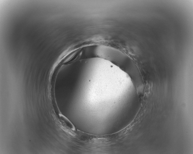 X0000062130150200512121224