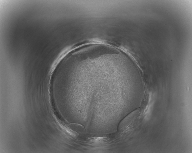 X0000062130151200512121224