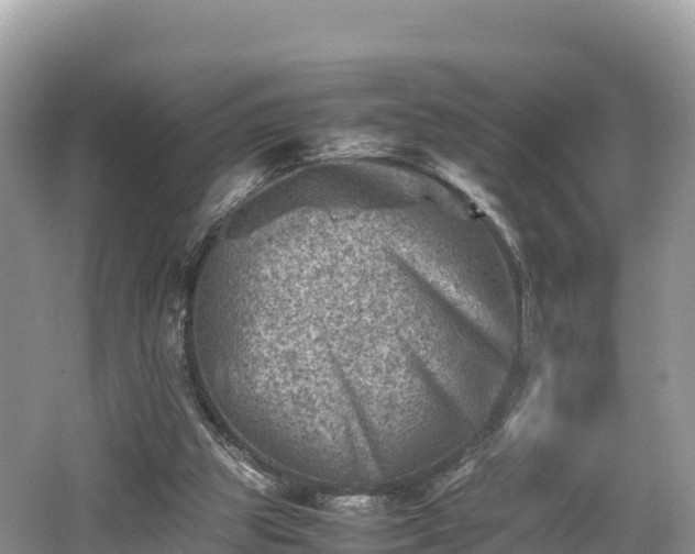 X0000062130153200512121224