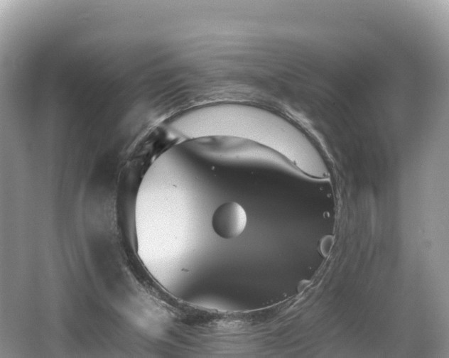 X0000062130154200512121224