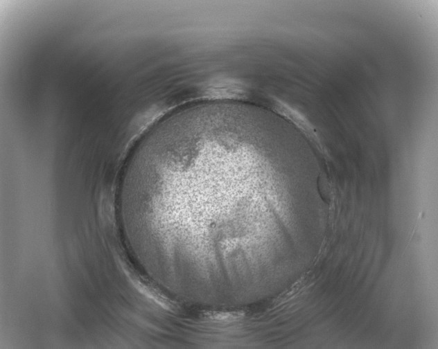 X0000062130155200512121224