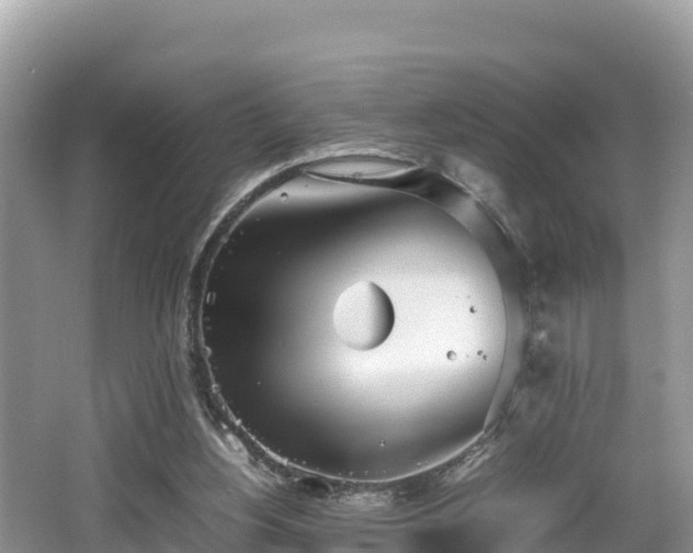 X0000062130156200512121224