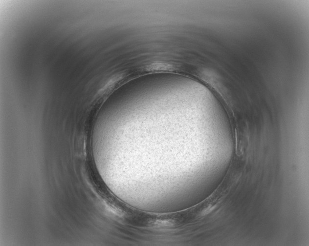 X0000062130157200512121224