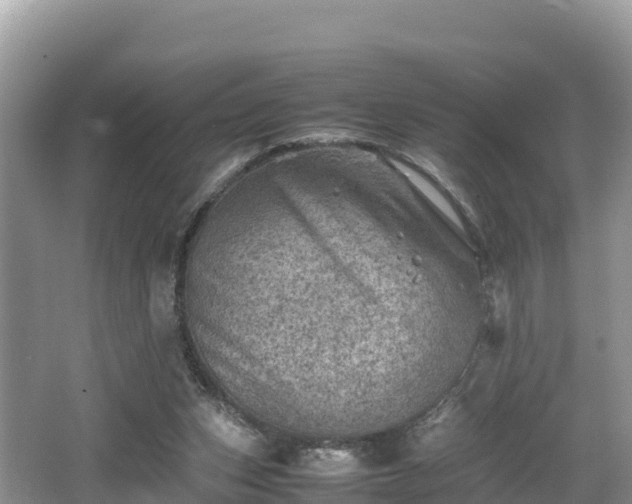 X0000062130159200512121224