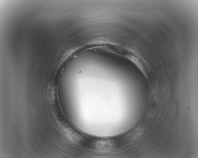 X0000062130160200512121224