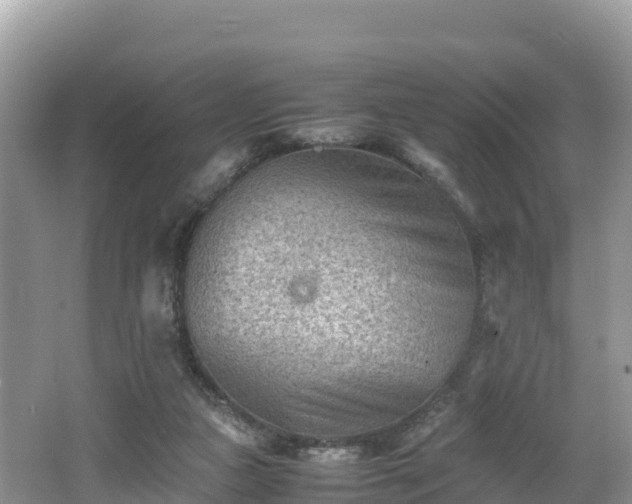 X0000062130161200512121224