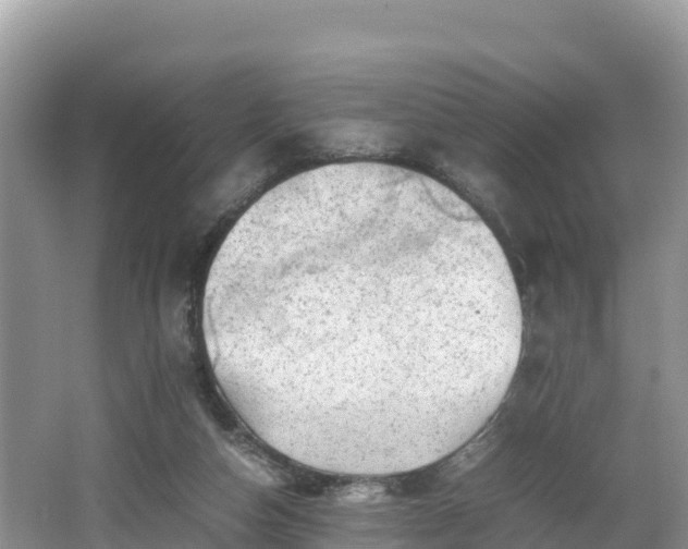 X0000062130162200512121224