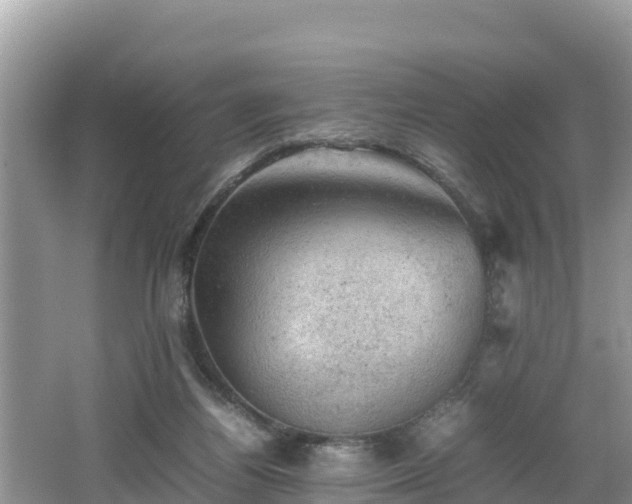 X0000062130164200512121224