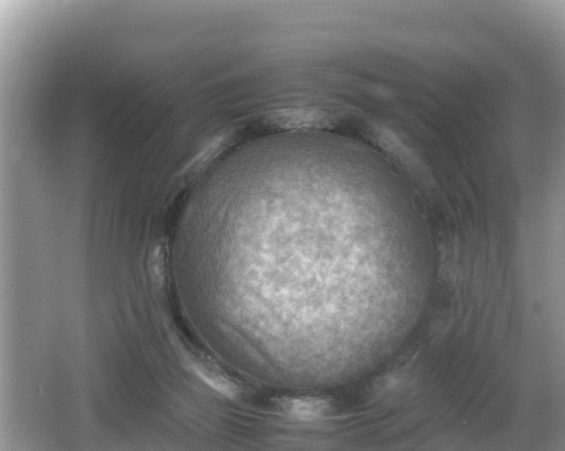 X0000062130165200512121224