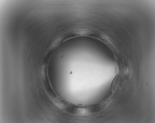 X0000062130167200512121225