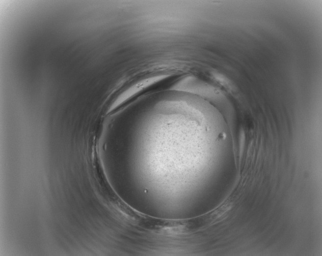 X0000062130168200512121225