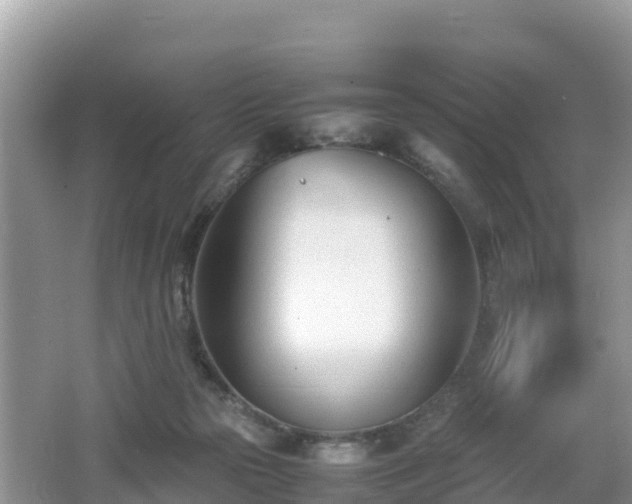 X0000062130169200512121225