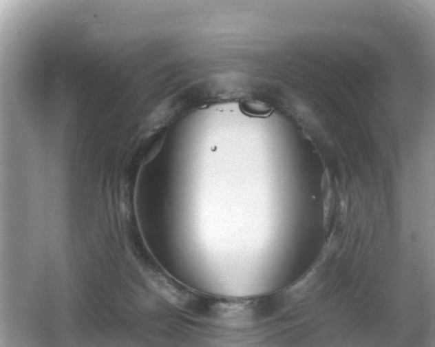 X0000062130170200512121225