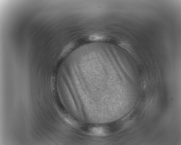 X0000062130171200512121225