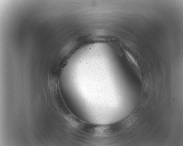 X0000062130172200512121225