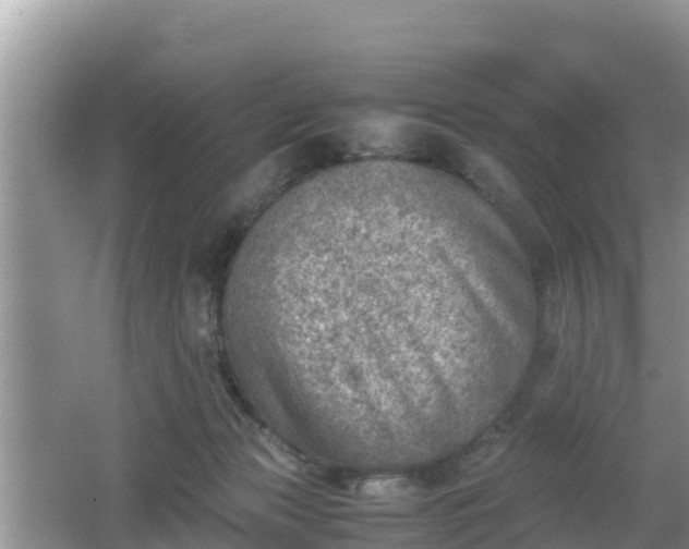 X0000062130173200512121225