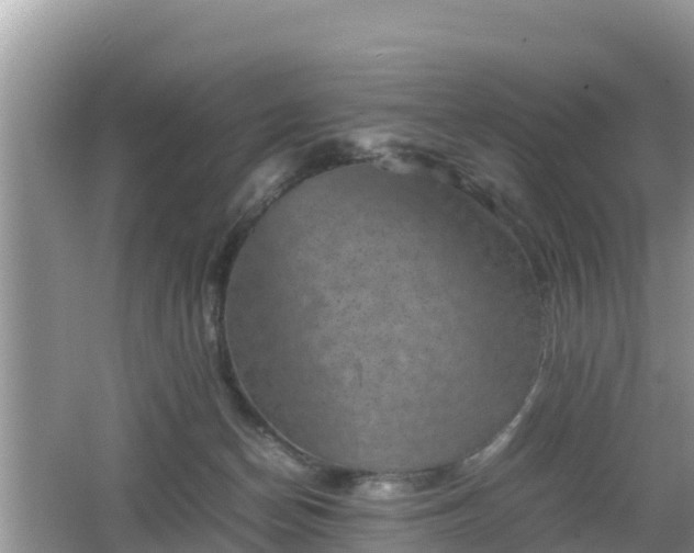 X0000062130174200512121225