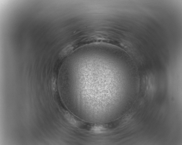 X0000062130177200512121225