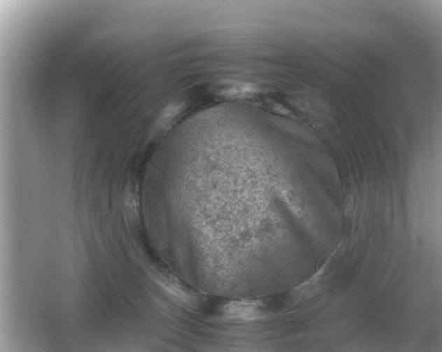 X0000062130179200512121225