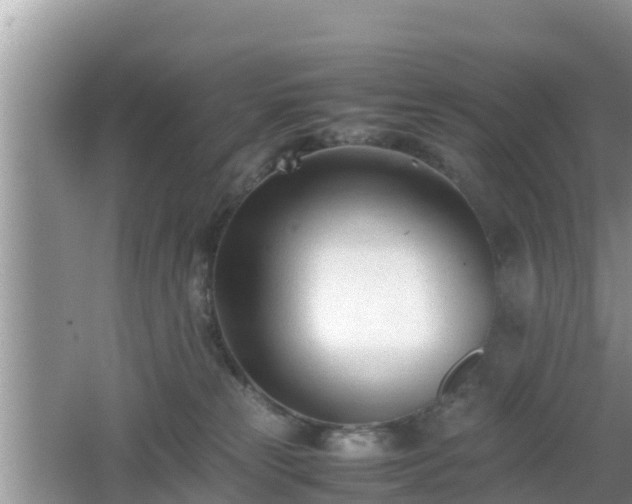 X0000062130181200512121225