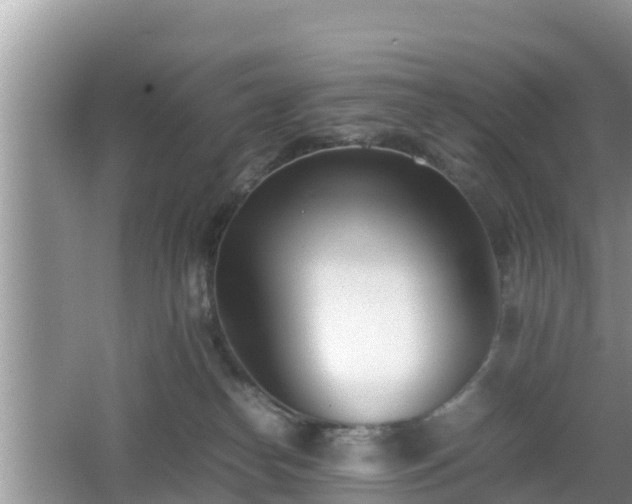 X0000062130182200512121225