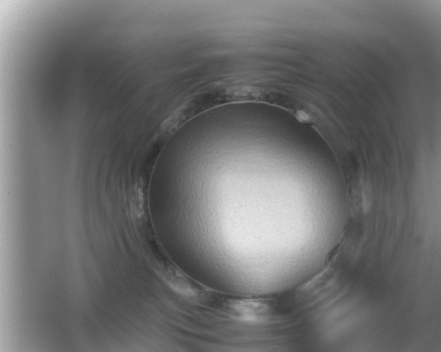 X0000062130183200512121225