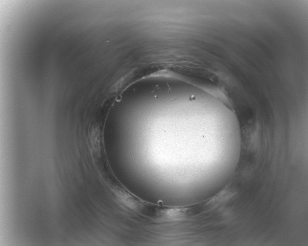 X0000062130184200512121225